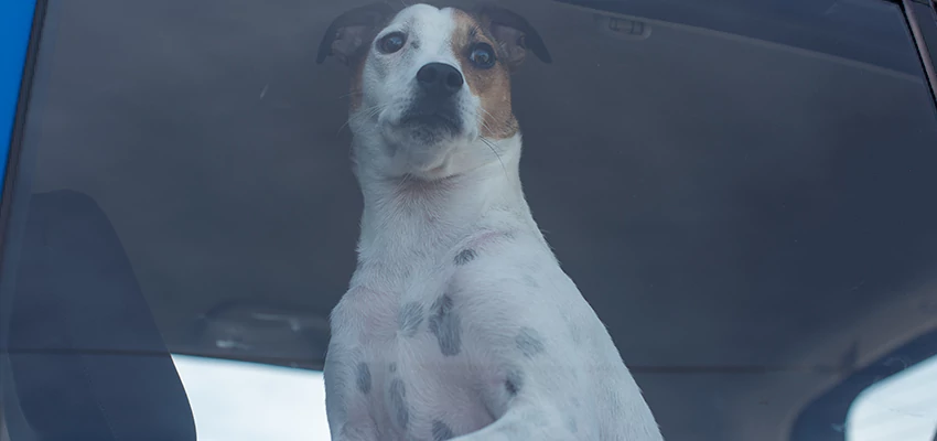 Car Lockout Solutions in Bakersfield, California